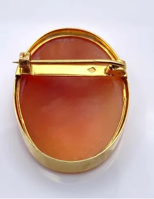 Broche Camée Vintage Or Jaune 2